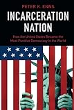 Peter K. Enns, "Incarceration Nation: How the United States Became the Most Punitive Democracy in the World" (Cambridge UP, 2016)