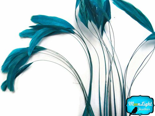 1 Dozen - TURQUOISE Stripped Coque Tail Feathers