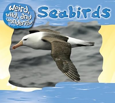 Sea Birds