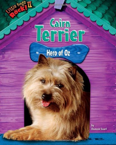 Cairn Terrier
