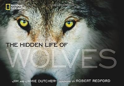 The Hidden Life of Wolves