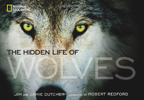 The Hidden Life of Wolves by Jim Dutcher