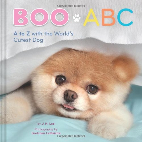 Boo ABC: A to Z with the World's Cutest Dog by J.H. Lee