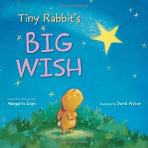 Tiny Rabbit's Big Wish