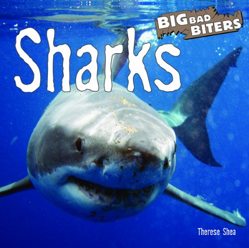 Sharks (Big Bad Biters) by Therese M. Shea