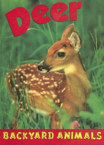 Deer by Christine Webster