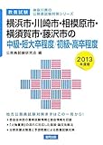 横浜市・川崎市・相模原市・横須賀市・藤沢市の中級・短大卒程度/初級・高卒程度〈2013年度版〉 (神奈川県の公務員試験対策シリーズ)