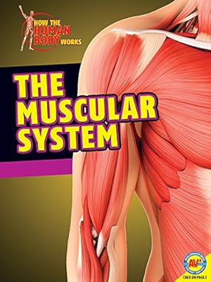 The Muscular System