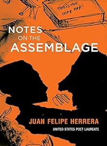 Notes on the Assemblage