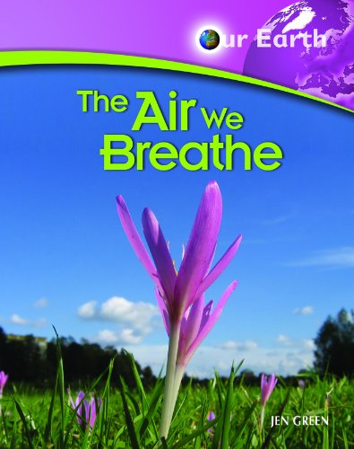 The Air We Breathe by Jen Green