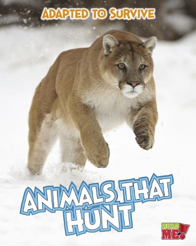 Adapted to Survive: Animals that Hunt by Angela Royston