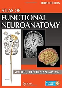 Atlas of Functional Neuroanatomy by Walter Hendelman M.D.
