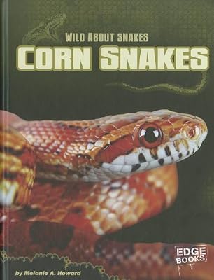 Corn Snakes