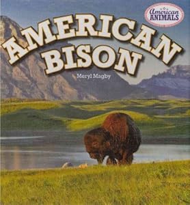 American Bison