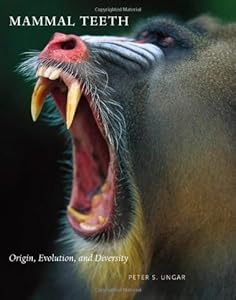 Mammal Teeth: Origin, Evolution, and Diversity