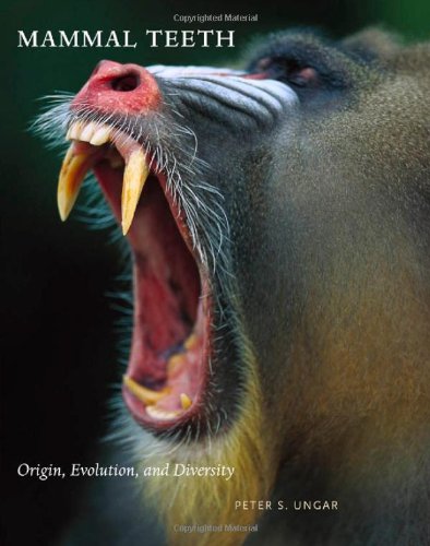 Mammal Teeth: Origin, Evolution, and Diversity by Peter S. Ungar