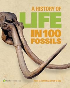 A History of Life in 100 Fossils by Aaron O'Dea