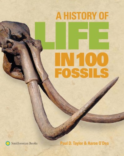 A History of Life in 100 Fossils by Aaron O'Dea