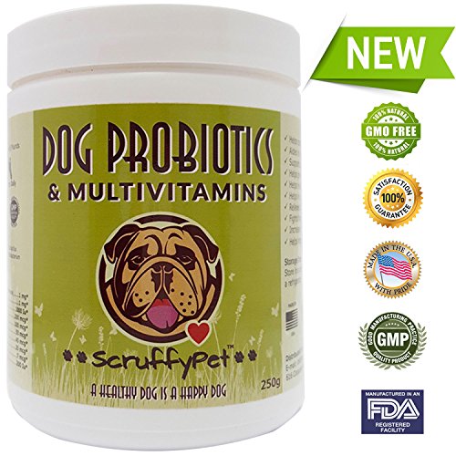 ScruffyPet - High Potency Probiotics For Dogs - Packed w/ Multivitamins & Minerals - 20 Probiotic Strains - The Best Dog Nutritional Supplement For Optimal Digestive Health & Energy - 250g