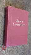 Londres et ses environs : manuel du voyageur