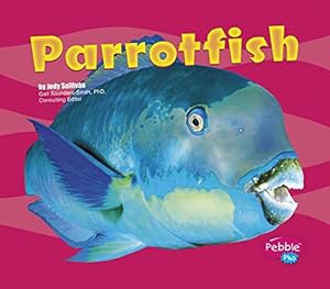 Parrotfish (Under the Sea (Capstone Library))