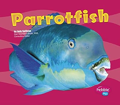 Parrotfish (Under the Sea (Capstone Library))
