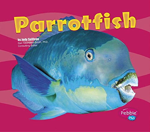 Parrotfish (Under the Sea (Capstone Library)) by Gail Saunders-Smith