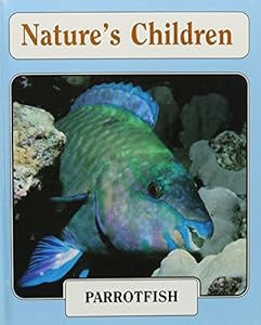 Parrotfish (Nature's Children. Set 7) by Bridget Giles