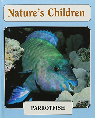 Parrotfish (Nature's Children. Set 7) by Bridget Giles