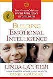 Building Emotional Intelligence