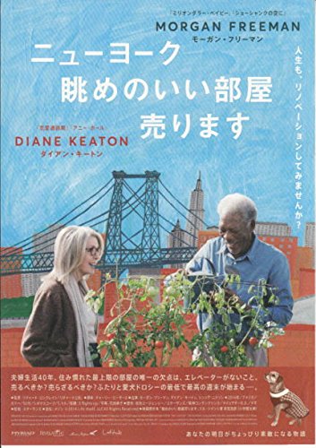 yti342 洋画映画チラシ「ニューヨーク眺めのいい部屋売ります　」ダイアン・キートン