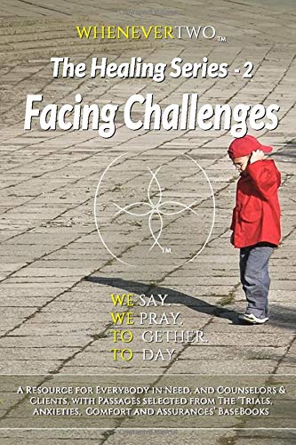 Facing Challenges: WE2 Healing Series Volume 2 (The WE2 Healing Series) by Whenever Two