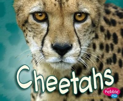 Cheetahs