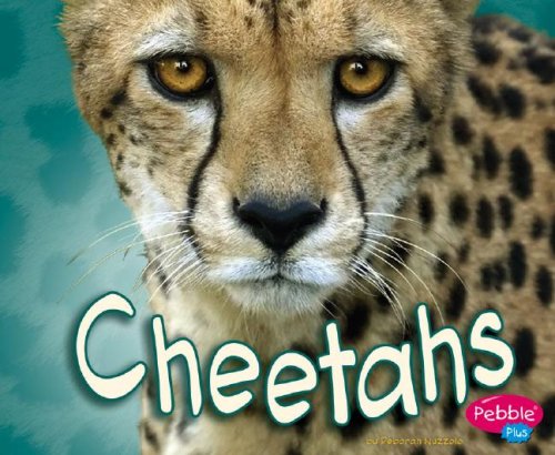 Cheetahs by Deborah Nuzzolo
