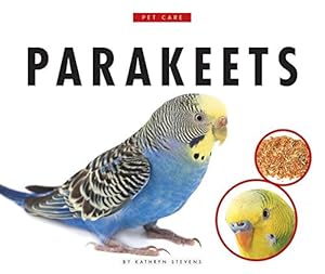 Parakeets