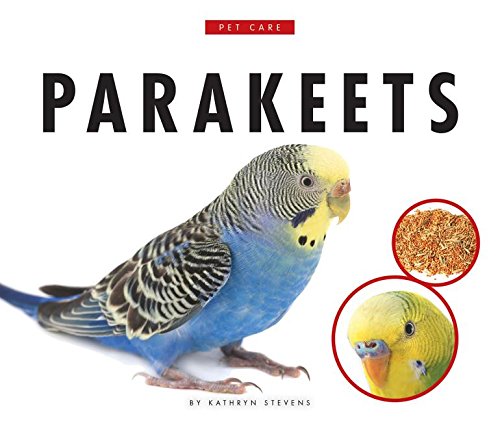 Parakeets by Kathryn Stevens