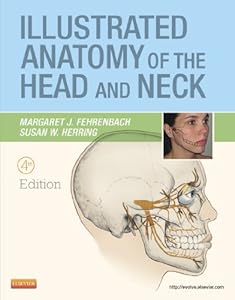 Illustrated Anatomy of the Head and Neck, 4th Edition by Margaret J. Fehrenbach