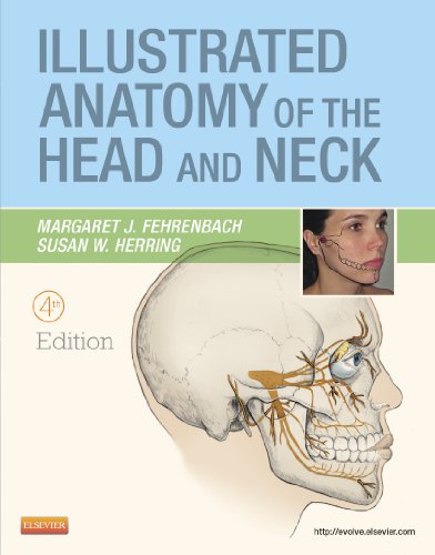 Illustrated Anatomy of the Head and Neck, 4th Edition by Margaret J. Fehrenbach
