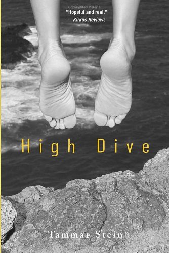 High Dive by Tammar Stein