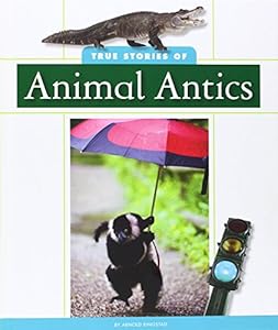 True Stories of Animal Antics