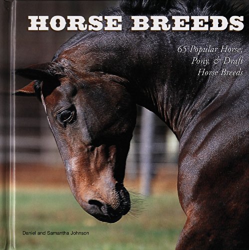 Horse Breeds: 65 Popular Horse, Pony &amp; Draft Horse Breeds by Samantha Johnson