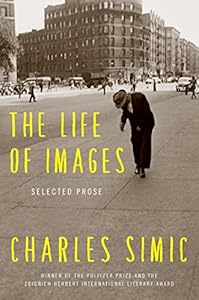 The Life of Images: Selected Prose