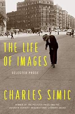 The Life of Images: Selected Prose