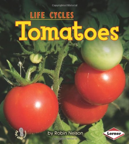 Tomatoes by Robin Nelson