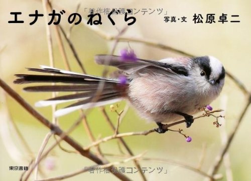 エナガのねぐら