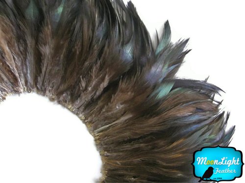 Algopix Similar Product 2 - Rooster Feathers Natural Black Rooster