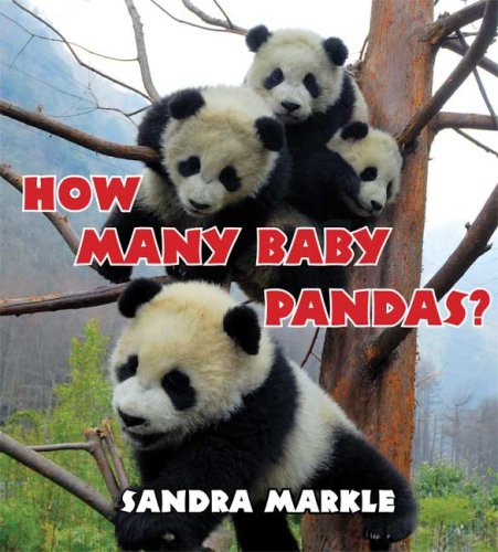 How Many Baby Pandas? by Sandra Markle