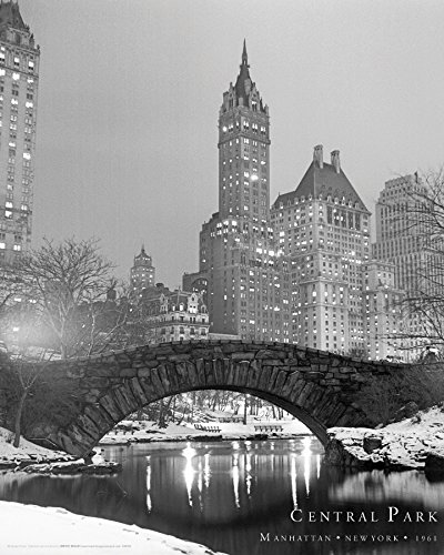 

New York City Central Park Decorative Travel Photography Art Print Poster 16 by 20