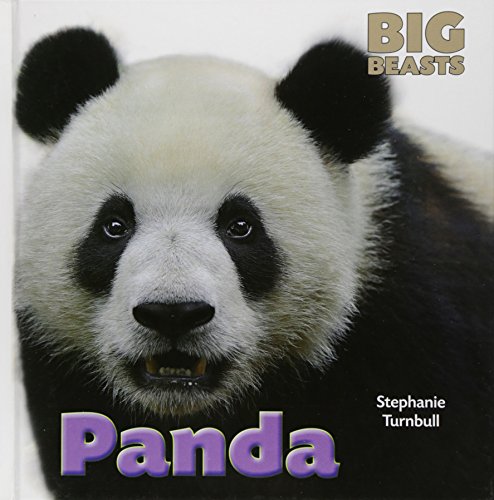 Panda by Stephanie Turnbull