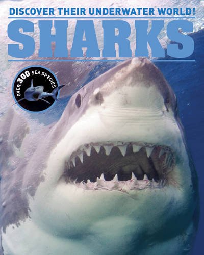 Sharks Encyclopedia: Discover Their Underwater World by Parragon